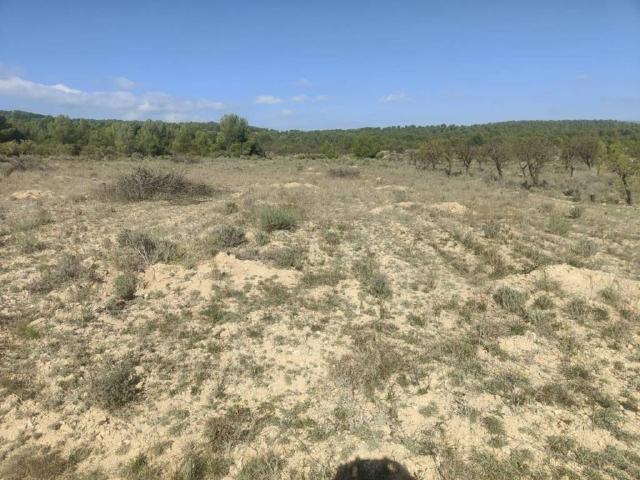 Terreno en Venta en Tibi