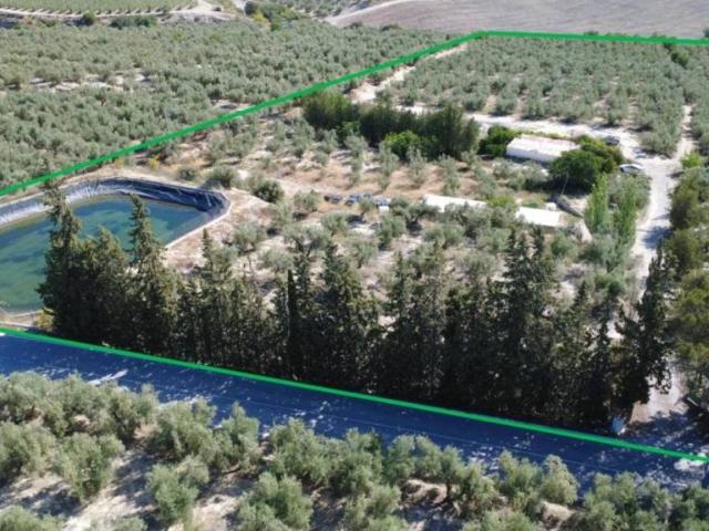 Terreno en Venta en Tíjola