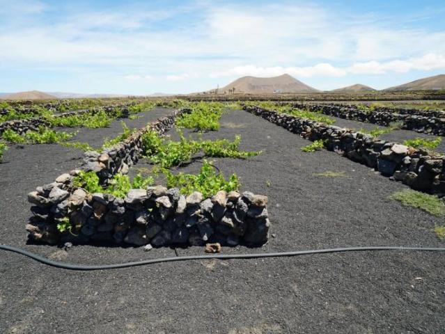Terreno en venta en Tinajo, La costa lanzarote