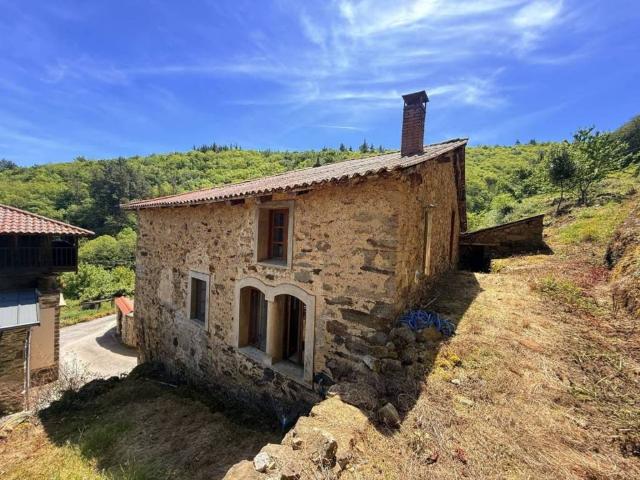 Terreno en Venta en Tineo