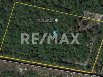TERRENO EN VENTA EN TIXCUYTÚN