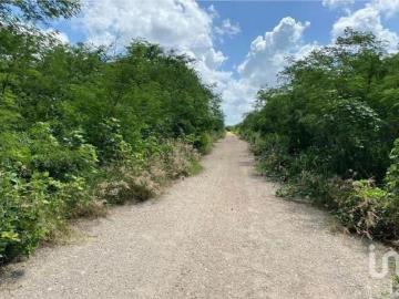 Terreno en venta en Tixkuncheil, Baca, Yucatán