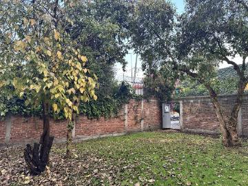 Terreno en venta en Tlacopac en calle Aralia