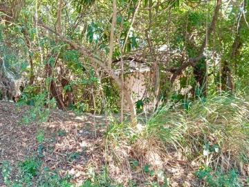 Terreno en venta en Tlalquiltenango, Morelos a un costado del parque El Rollo