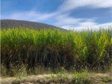 Terreno en venta en Tlaquiltenango, Morelos