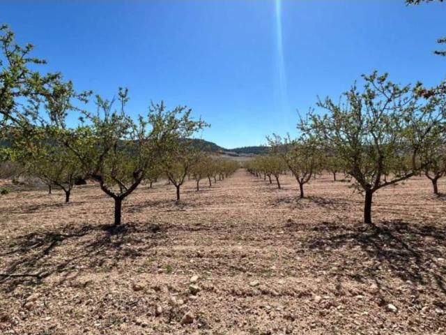 Terreno en Venta en Tobarra