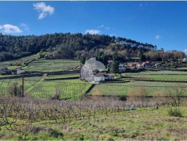 Terreno en Venta en Toén