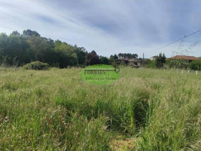 Terreno en Venta en Toén