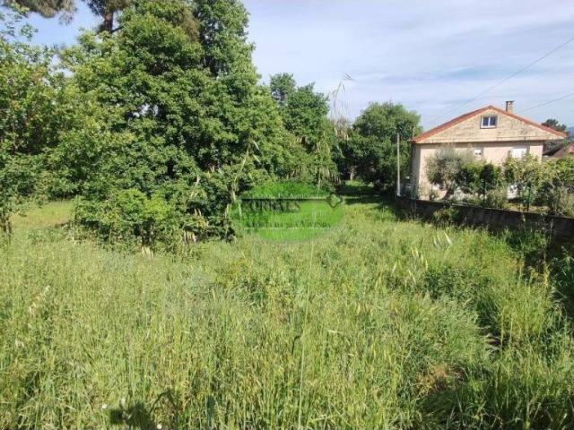 Terreno en Venta en Toén