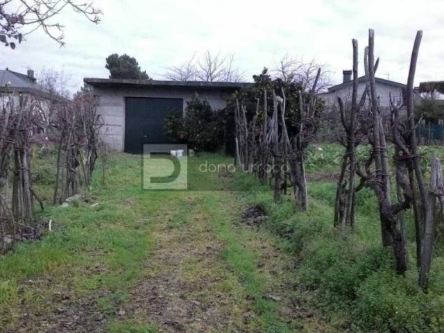 Terreno en Venta en Toén