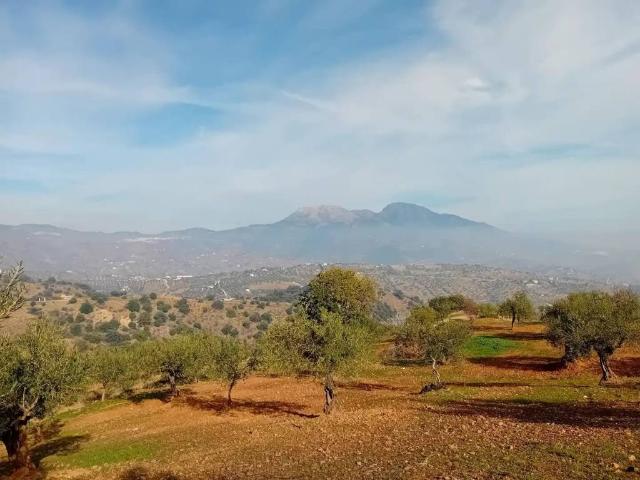 Terreno en Venta en Tolox