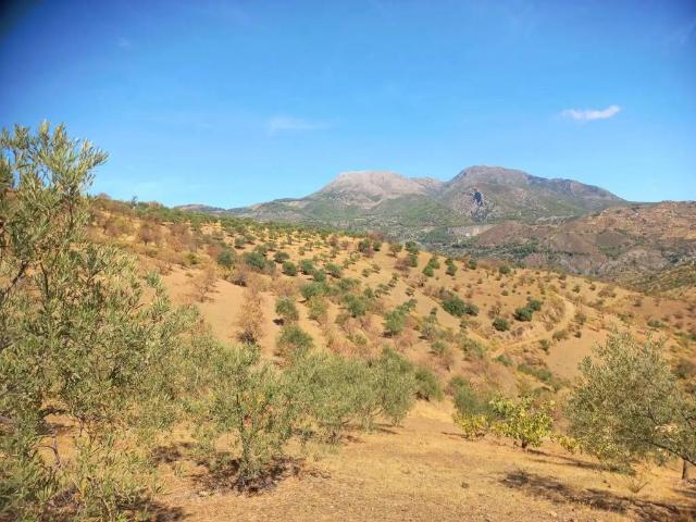 Terreno en Venta en Tolox