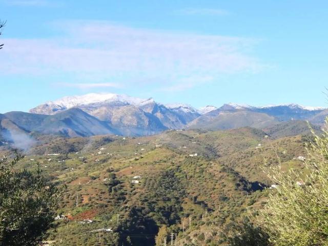 Terreno en Venta en Tolox