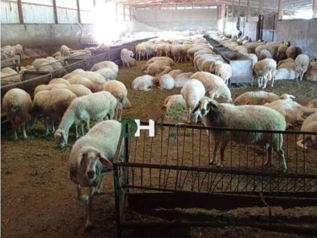 Terreno en Venta en Toledo