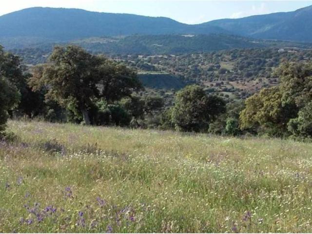 Terreno en Venta en Toledo