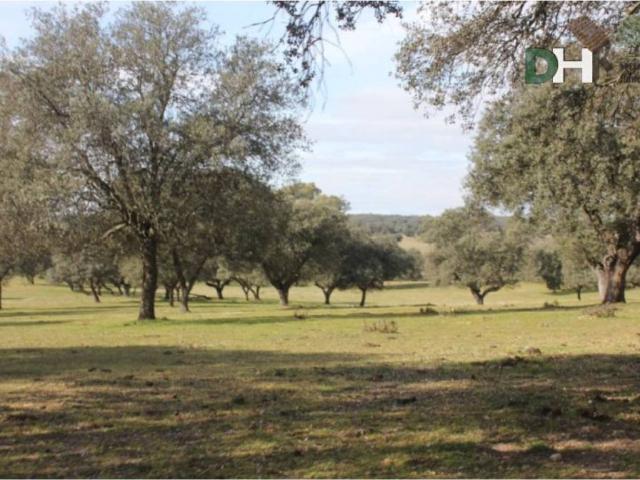 Terreno en Venta en Toledo