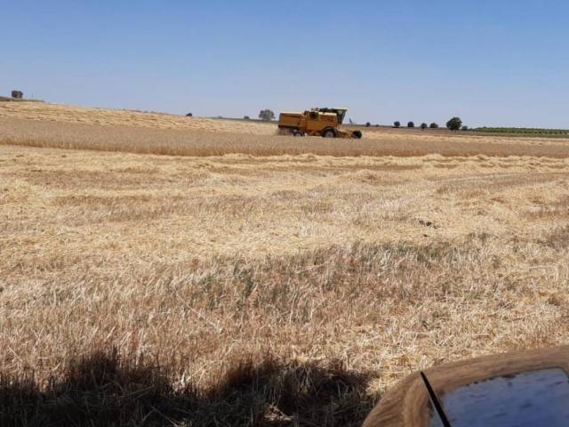 Terreno en Venta en Toledo