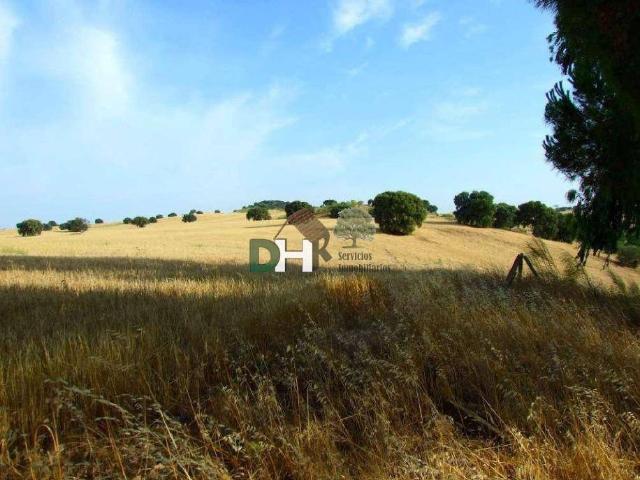 Terreno en Venta en Toledo