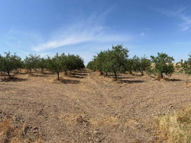 Terreno en Venta en Toledo