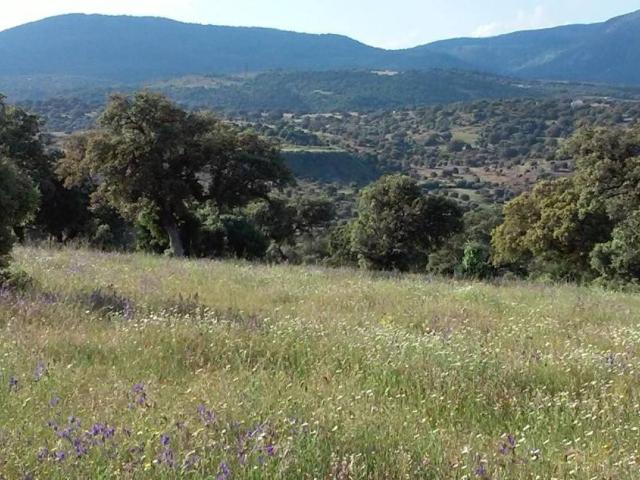Terreno en Venta en Toledo