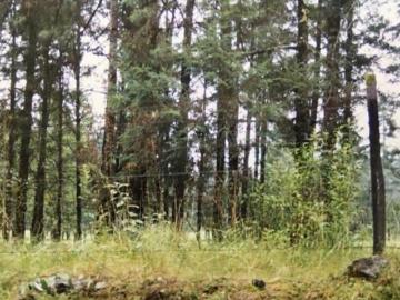 TERRENO EN VENTA EN TOLUCA