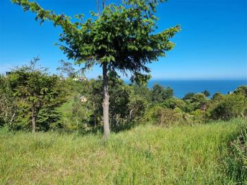 Terreno en Venta en Tomé / Pingueral