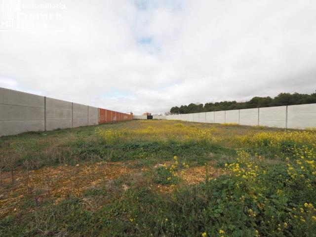 Terreno en Venta en Tomelloso