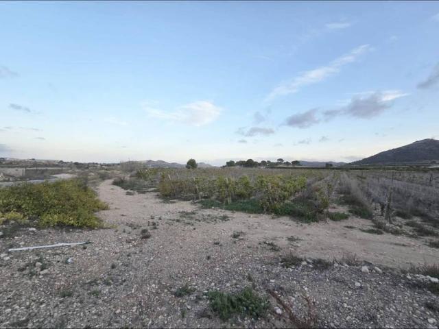 Terreno en Venta en Tomelloso