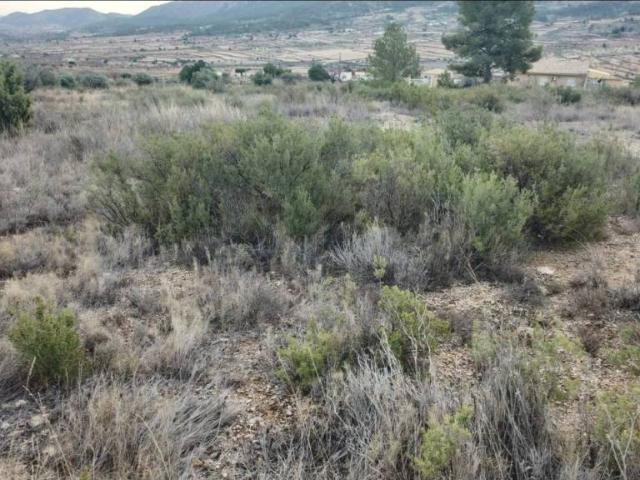 Terreno en Venta en Tomelloso