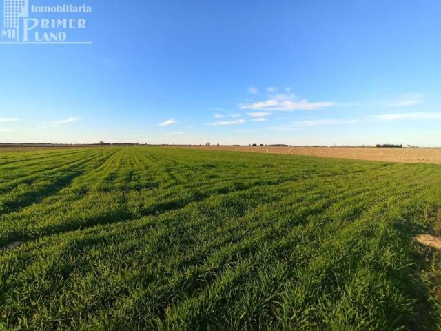 Terreno en Venta en Tomelloso