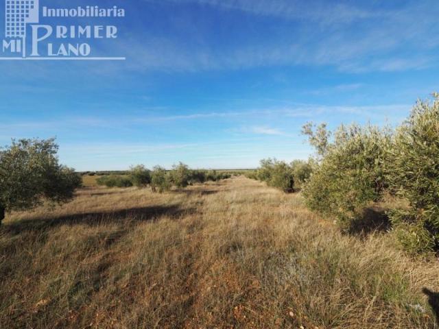 Terreno en venta en Tomelloso, Ctra. Ossa de Montiel