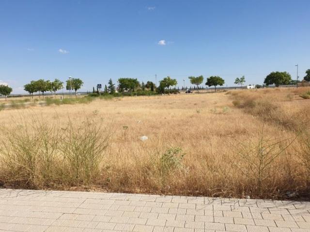 Terreno en venta en Tomelloso, Polígono 20