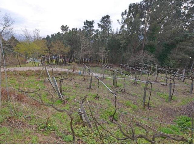 Terreno en Venta en Tomiño