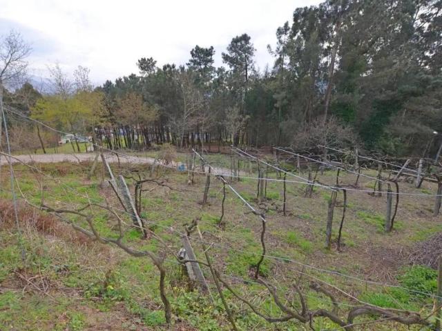 Terreno en Venta en Tomiño
