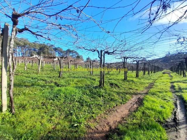 Terreno en Venta en Tomiño