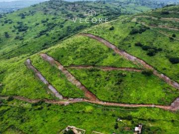 TERRENO EN VENTA EN TONALÁ, CARRETERA LIBRE A ZAPOTLANEJO