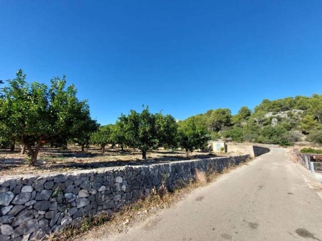 Terreno en Venta en Tormos