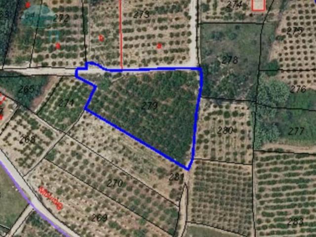 Terreno en Venta en Tormos