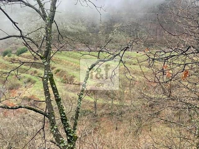 Terreno en venta en Tornavacas
