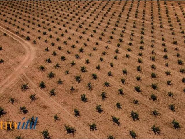 Terreno en Venta en Toro