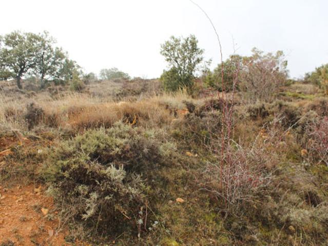 Terreno en venta en Tordellego
