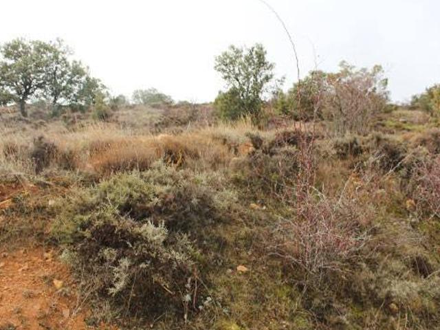 Terreno en Venta en Tordellego
