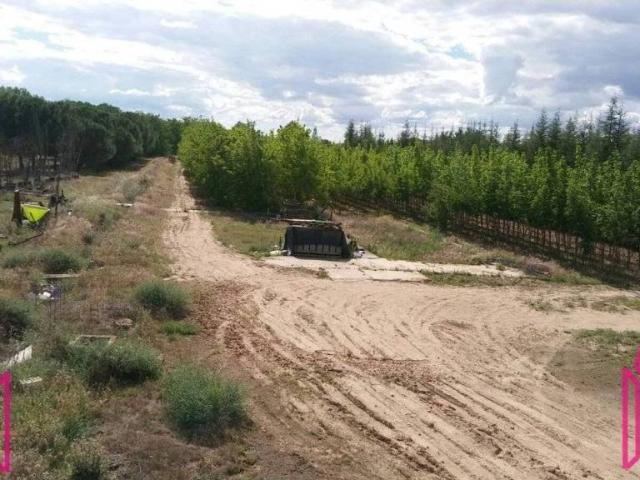 Terreno en Venta en Tordesillas