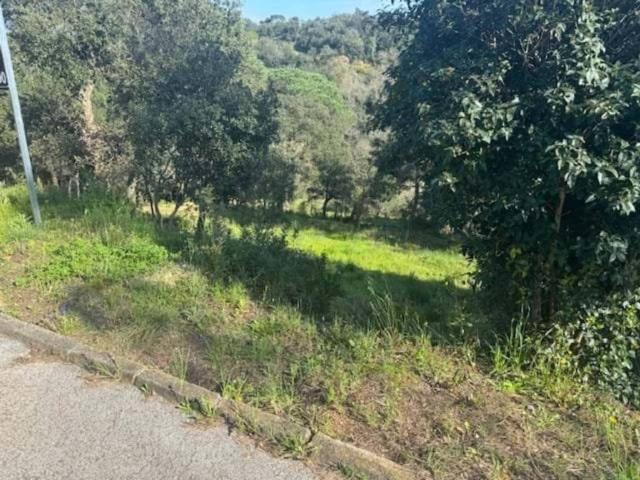 Terreno en Venta en Tordera