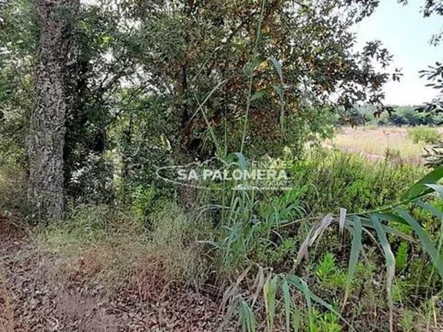 Terreno en Venta en Tordera