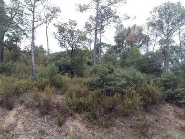 Terreno en Venta en Tordera