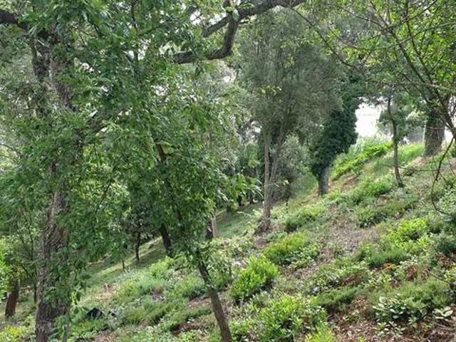 Terreno en Venta en Tordera