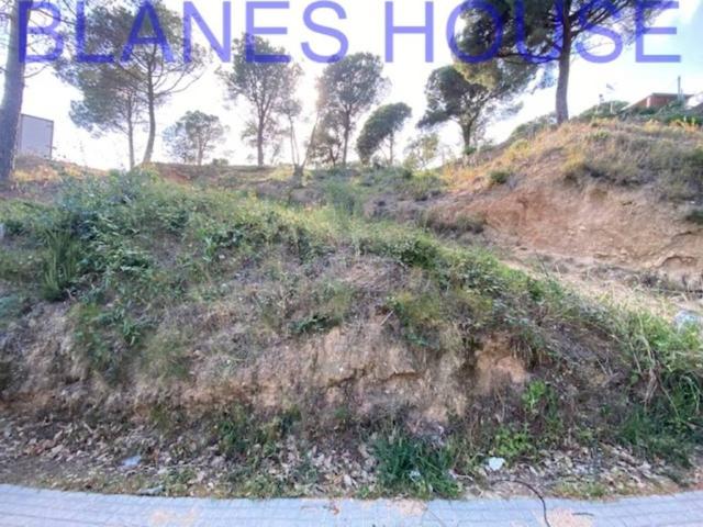Terreno en Venta en Tordera