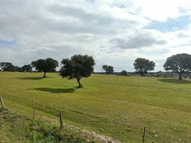 Terreno en Venta en Torralba de Oropesa