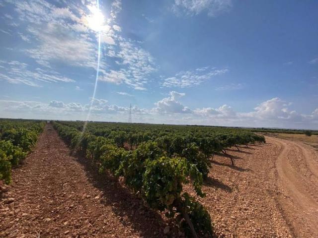 Terreno en Venta en Torralba de Calatrava